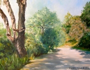 Sentier en Provence