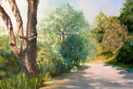 Sentier en Provence