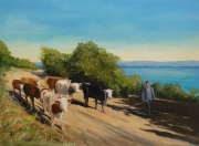 Les vaches de Porquerolles