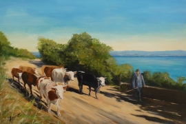 Les vaches de Porquerolles